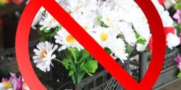 Становить загрозу екології та здоров’ю: на Уманщині влада звернулася з проханням до мешканців громади