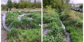У Бердичеві Інспекцією зафіксовано факт забруднення річки Гнилоп’ять | Журнал Житомира