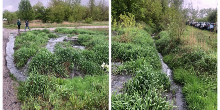 У Бердичеві Інспекцією зафіксовано факт забруднення річки Гнилоп’ять | Журнал Житомира