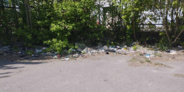 У Дніпровському районі Запоріжжя прибрали сміттєзвалище | Новости Запорожья