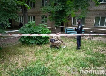 У селищі Кам’яне через вибухівку постраждало двоє дітей – деталі від поліції | Новости Запорожья