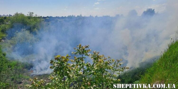 У Шепетівці палало 5000 квадратних метрів сухої рослинності —Хмельнитчина