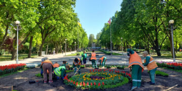 У Запоріжжі до Дня пам’яті та перемоги над нацизмом у Другій світовій війні на Алеї Бойвої Слави висадять 14 тисяч квітів | Новости Запорожья