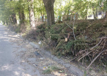 У Запоріжжі поскаржились на голову ОСББ – що трапилось | Новости Запорожья