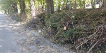 У Запоріжжі поскаржились на голову ОСББ – що трапилось  | Новости Запорожья