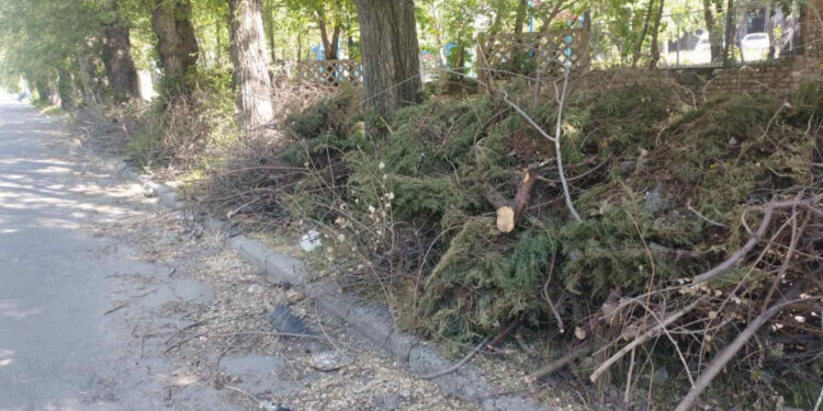 У Запоріжжі поскаржились на голову ОСББ – що трапилось  | Новости Запорожья