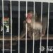 У зоокутку біля Заліщиків знущаються з тварин