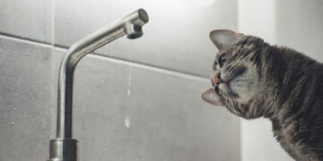 Відключення: де сьогодні в Івано-Франківську не буде води