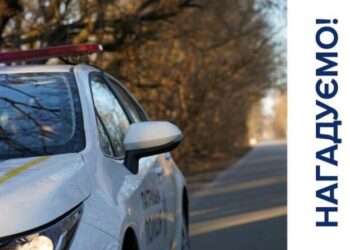 З 1 тварня в Україні відбудуться зміни у ПДР – чого чекати водіям | Новости Запорожья