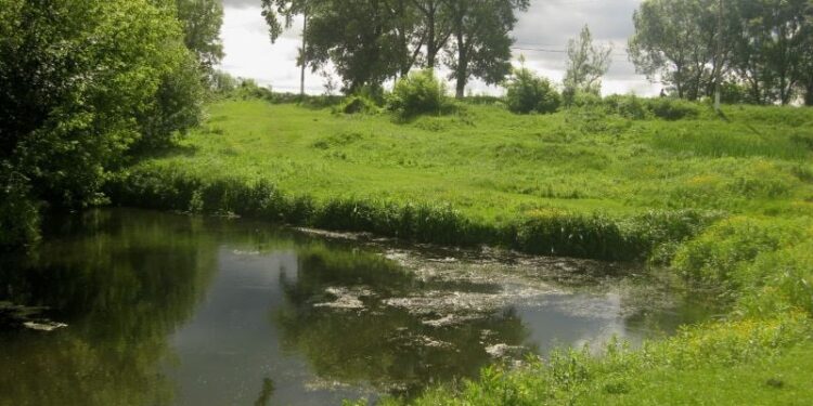 Землі трьох заповідників на Шепетівщині вдалось повернути з приватної власності —Хмельнитчина