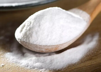 Бурштинова кислота: як вона врятувала мамонта від льодовикового періоду?