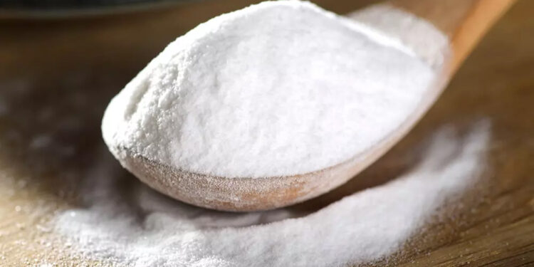 Бурштинова кислота: як вона врятувала мамонта від льодовикового періоду?