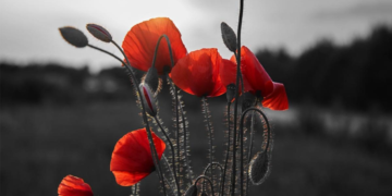 22 червня – День скорботи та вшанування пам’яті жертв війни в Україні