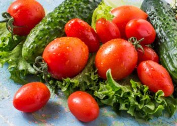 В Україні знизилися ціни на огірки та помідори – ЭКОНОМИКА