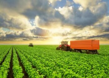 В Україні ринок землі планують відкрити для громадян ЄС – ЭКОНОМИКА