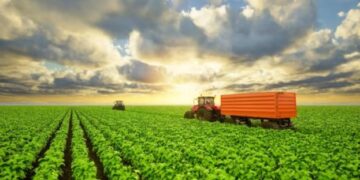 В Україні ринок землі планують відкрити для громадян ЄС – ЭКОНОМИКА