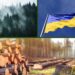 В Україні з шахрайством в лісовій галузі будуть боротися завдяки фотографії – ЭКОНОМИКА