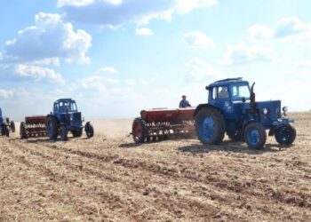Аграрії України засіяли понад 98% площ зернових та зернобобових – ЭКОНОМИКА