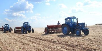 Аграрії України засіяли понад 98% площ зернових та зернобобових – ЭКОНОМИКА
