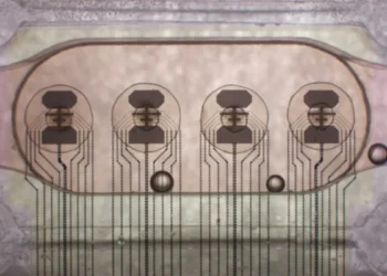 Запущено перший у світі біопроцесор з 16 органоїдів мозку — ТЕХНОЛОГИИ