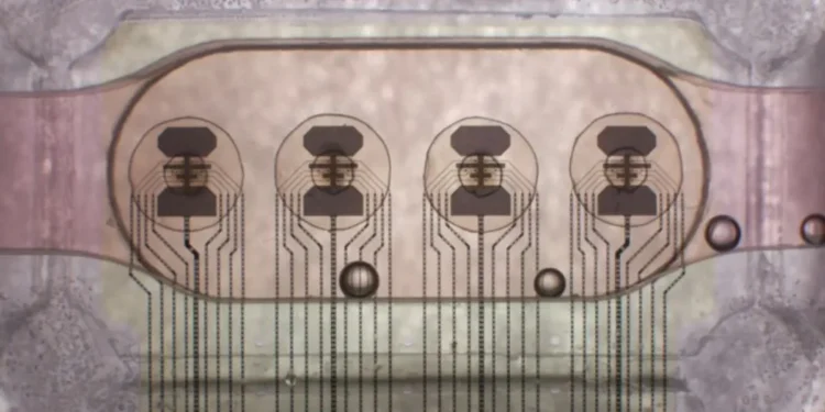 Запущено перший у світі біопроцесор з 16 органоїдів мозку — ТЕХНОЛОГИИ