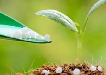 USAID АГРО надасть міндобрива для українських агровиробників з прифронтових територій – ЭКОНОМИКА