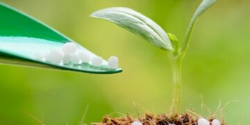 USAID АГРО надасть міндобрива для українських агровиробників з прифронтових територій – ЭКОНОМИКА