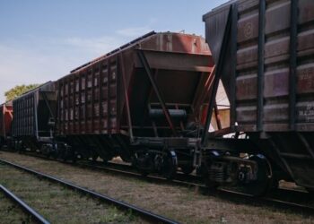 В Україні почала діяти знижка у 30% на перевезення агропродукції залізницею – ЭКОНОМИКА