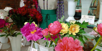 Близько 300 сортів: в Івано-Франківську відкрили благодійну виставку півоній (ФОТО)