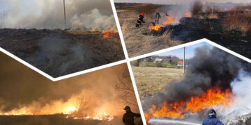 “Будь-яка пожежа в екосистемі — це пряма провина людей”: у чому полягає небезпека спалювання сухої трави