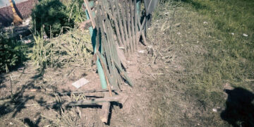 9 червня: як минула у Сумах і Сумській області неділя – Область – Сумские новости