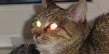 Графік вимкнення світла Тернопіль – які групи не матимуть електроенергії 27 червня