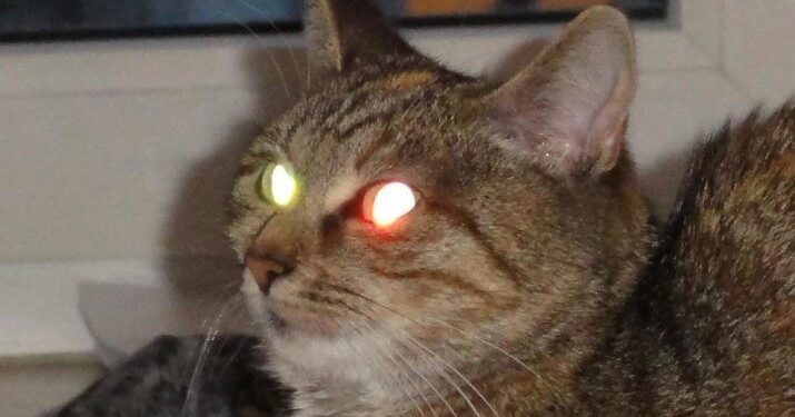 Графік вимкнення світла Тернопіль – які групи не матимуть електроенергії 27 червня