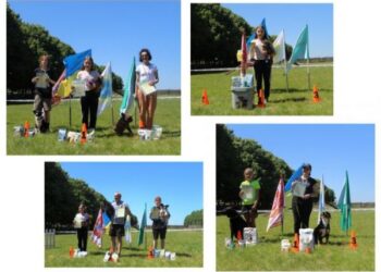 Юні кінологи зі своїми вихованцями змагались на спортивних трасах — Новости Черкасс