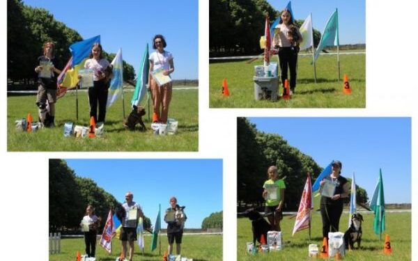 Юні кінологи зі своїми вихованцями змагались на спортивних трасах — Новости Черкасс