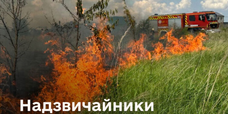 Ледве не згоріло 20 га ріпаку на Кременеччині