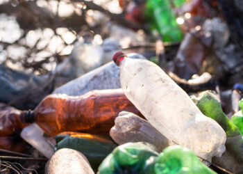 Мешканці Запоріжжя поскаржилися на сміттєзвалище у дворі – інспектори перевірили територію | Новости Запорожья