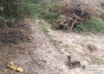 На Черкащині пасажир убив таксиста та сховав тіло у лісосмузі — Новости Черкасс