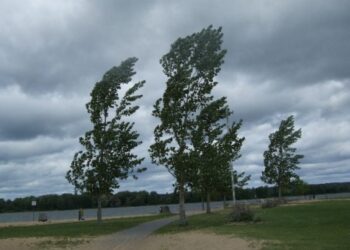 На Черкащині прогнозують град та шквали