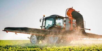 На Черкащині закінчилася посівна: яких культур цього року висадили більше