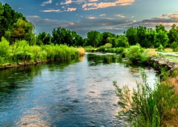 На Миколаївщині привласнили землю на понад 40 мільйонів: суд повернув позови прокуратурі