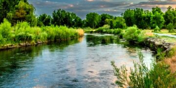 На Миколаївщині привласнили землю на понад 40 мільйонів: суд повернув позови прокуратурі