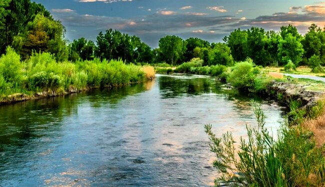 На Миколаївщині привласнили землю на понад 40 мільйонів: суд повернув позови прокуратурі