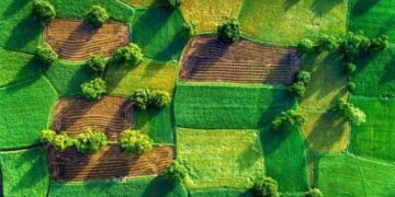 На Миколаївщині викрили шахрайство з землею вартістю понад мільярд гривень