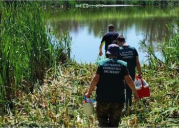 На території острова Хортиця осушені вже понад десять озер – деталі від екоінспекції | Новости Запорожья