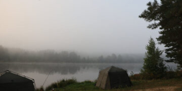 На Житомирщині киянин незаконно користувався лісовим озером | Журнал Житомира