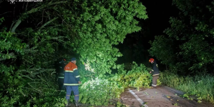 На Житомирщині рятувальники ліквідовують наслідки негоди | Журнал Житомира