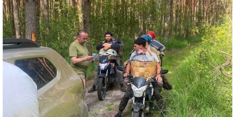 На Житомирщині затримано порушників, які збирали чорницю в заповіднику | Журнал Житомира