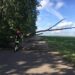 На Звенигородщині після негоди на проїжджу частину впало дерево