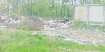Несанкціоновані сміттєзвалища екологи виявили у селі Житомирського району | Журнал Житомира